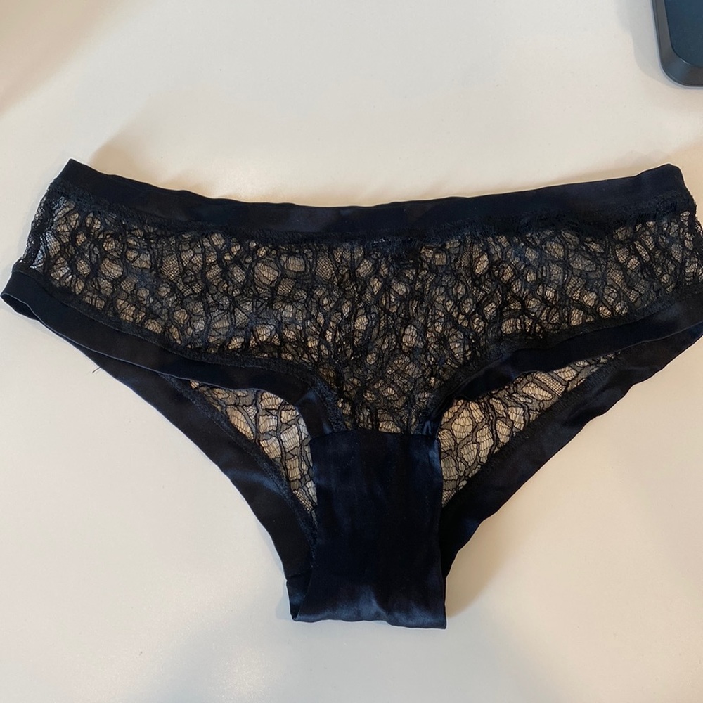 NEVER WORN  silk and lace full back lingerie